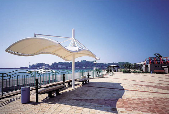 膜結構與仿荷葉效應